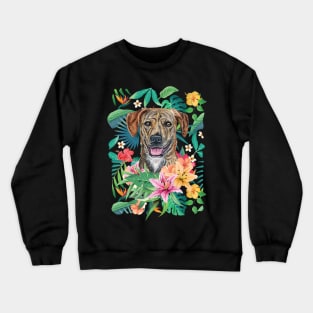 Tropical Plott Hound Crewneck Sweatshirt